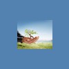 LifeCare Reach Ministries