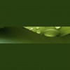 Choice Counseling Services