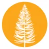 Larch Counseling