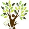 Harmony Family Counseling