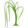 Willow Tree Wellness & Counseling