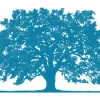 Sitike Counseling Center