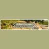 Vine Counseling & Psychological Services