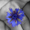 MMC Psychotherapy
